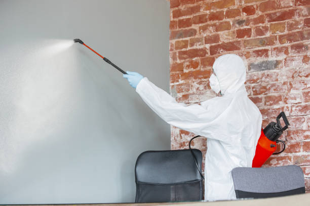 Best Crawl Space Mold Remediation  in Newport, OH