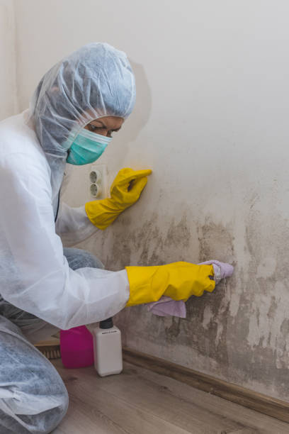 Best Industrial Mold Remediation  in Newport, OH