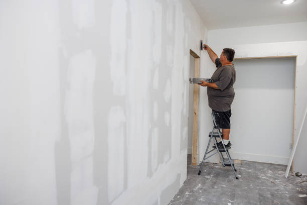 Best Mold Damage Restoration  in Newport, OH