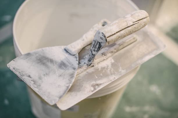 Best Basement Mold Removal  in Newport, OH